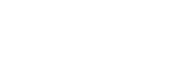 Chesly.Tech logo
